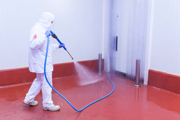 Best Paint Preparation  in Hicksville, NY